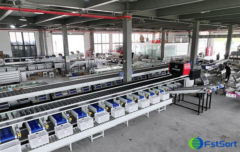 cucumber optical sorting machine.jpg cucumber optical sorting machine.jpg